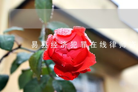 易县经济犯罪在线律师咨询