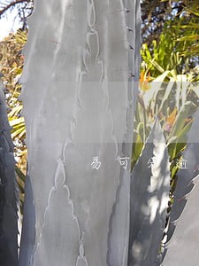 易可分逾期不到一天会伤征信吗 易可分逾期不到一天会伤征信吗