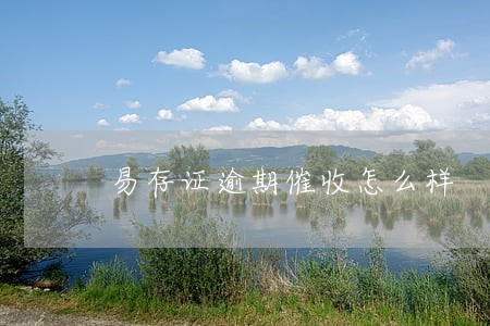 易存证逾期催收怎么样 易存证逾期催收怎么样
