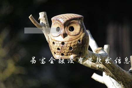 易富金融没有借款发信息说逾期了 易富金融没有借款发信息说逾期了