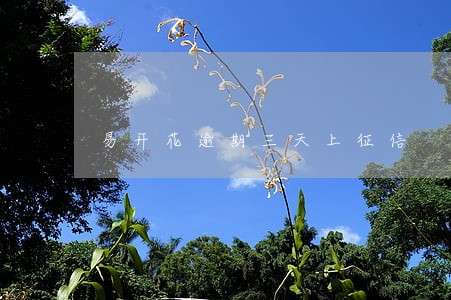 易开花逾期三天上征信 易开花逾期三天上征信