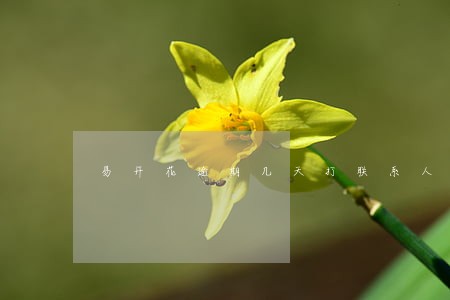 易开花逾期几天打联系人 易开花逾期几天打联系人