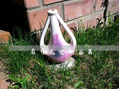 易开花逾期后果 易开花逾期后果