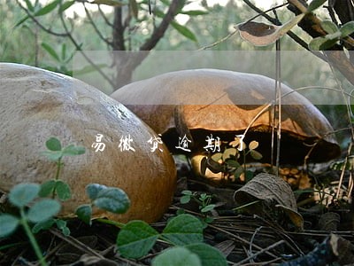 易微贷逾期了 易微贷逾期了