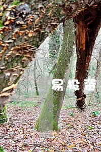易投资平台逾期 易投资平台逾期