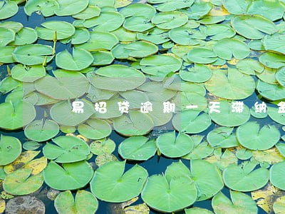 易招贷逾期一天滞纳金 易招贷逾期一天滞纳金