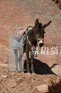 易招贷逾期几天电话通知 易招贷逾期几天电话通知
