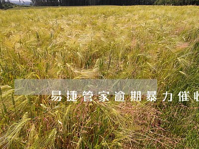 易捷管家逾期暴力催收 易捷管家逾期暴力催收