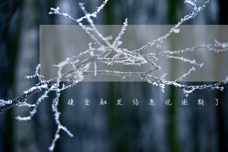 易捷金融发信息说逾期了 易捷金融发信息说逾期了