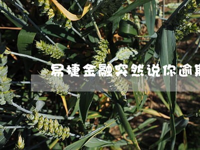 易捷金融突然说你逾期