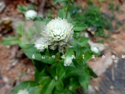 易日升还款了显示逾期 易日升还款了显示逾期