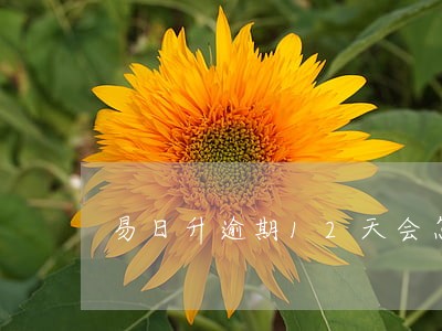 易日升逾期12天会怎样 易日升逾期12天会怎样