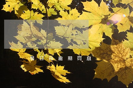 易日升逾期罚息