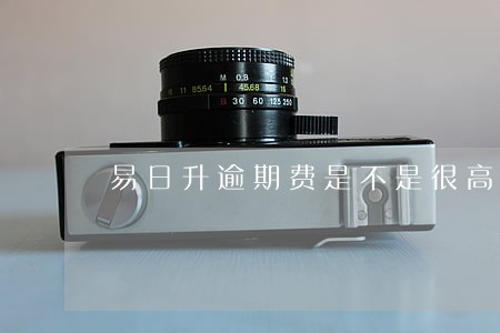 易日升逾期费是不是很高