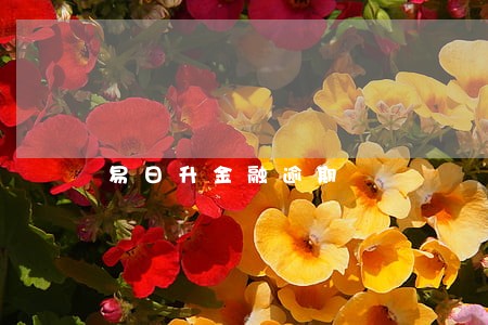 易日升金融逾期 易日升金融逾期