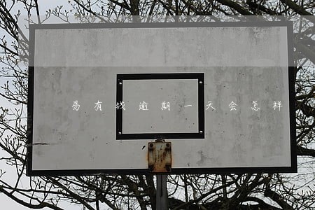 易有钱逾期一天会怎样 易有钱逾期一天会怎样