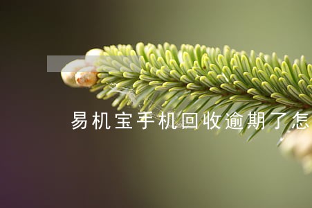 易机宝手机回收逾期了怎么办 易机宝手机回收逾期了怎么办