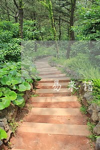 易来借逾期一天多少费用 易来借逾期一天多少费用