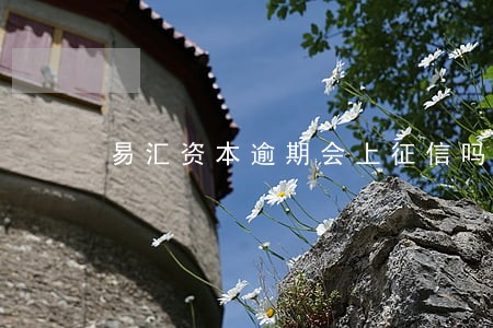 易汇资本逾期会上征信吗 易汇资本逾期会上征信吗
