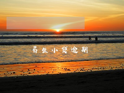 易生小贷逾期 易生小贷逾期