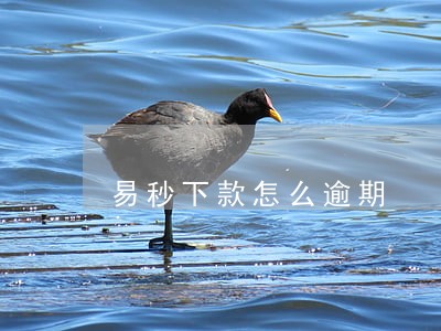 易秒下款怎么逾期 易秒下款怎么逾期