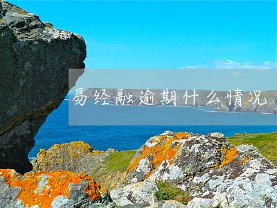 易经融逾期什么情况 易经融逾期什么情况