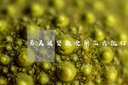 易美健贷款逾期几天就打电话 易美健贷款逾期几天就打电话