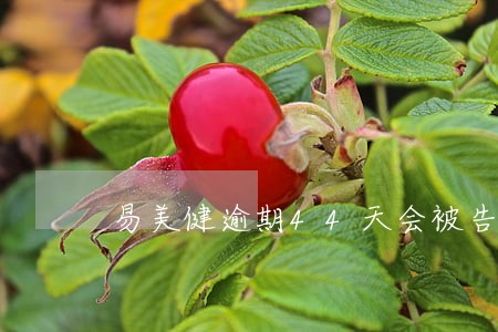 易美健逾期44天会被告吗