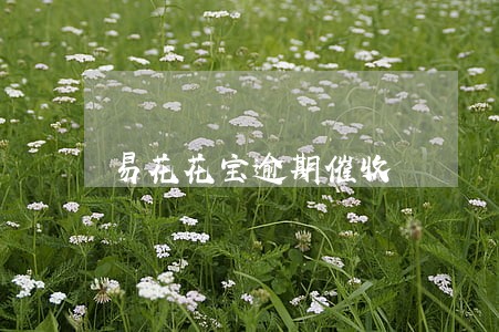 易花花宝逾期催收 易花花宝逾期催收