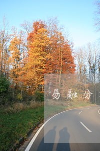易融分期我没有借款说我逾期 易融分期我没有借款说我逾期