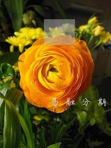 易融分期打电话说逾期 易融分期打电话说逾期