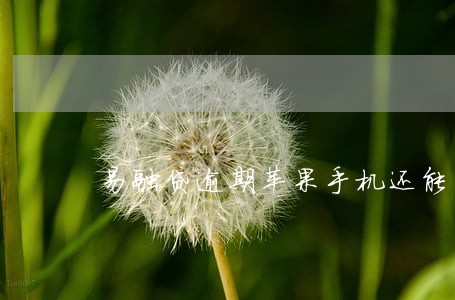 易融贷逾期苹果手机还能用吗