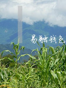 易融钱包逾期解决办法 易融钱包逾期解决办法