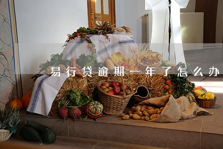 易行贷逾期一年了怎么办