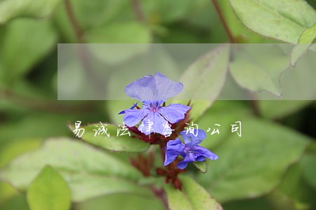 易诚法律咨询公司 易诚法律咨询公司