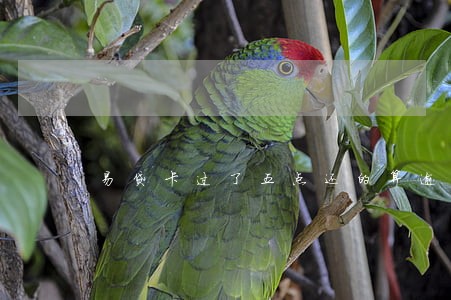 易贷卡过了五点还的算逾期吗 易贷卡过了五点还的算逾期吗