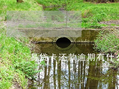 易贷卡还款逾期有什么影响 易贷卡还款逾期有什么影响