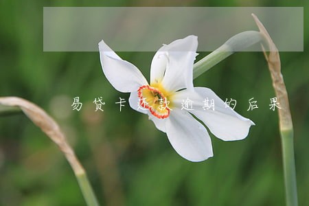 易贷卡还款逾期的后果 易贷卡还款逾期的后果