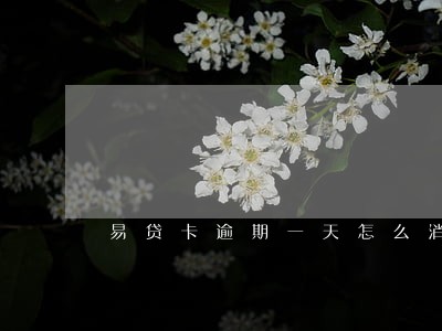 易贷卡逾期一天怎么消除 易贷卡逾期一天怎么消除