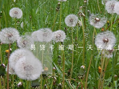 易贷卡逾期一天还清上征信吗