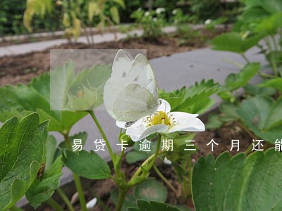 易贷卡逾期三个月还能用吗 易贷卡逾期三个月还能用吗