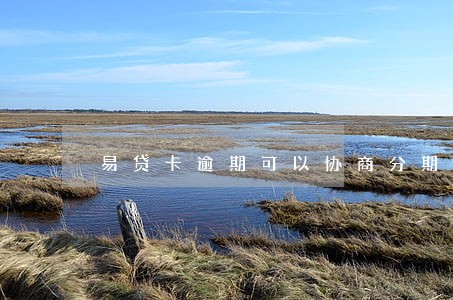 易贷卡逾期可以协商分期吗