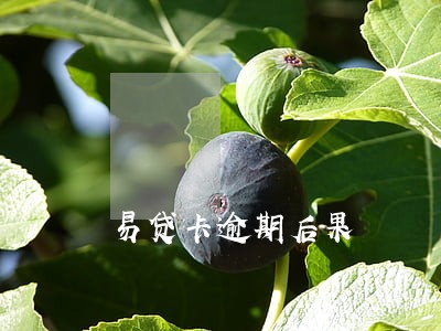 易贷卡逾期后果