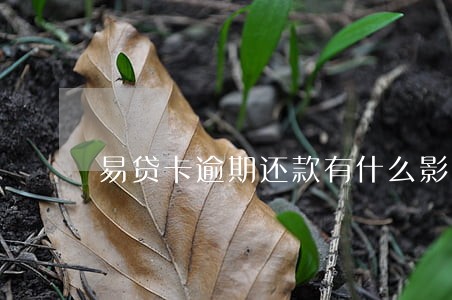 易贷卡逾期还款有什么影响 易贷卡逾期还款有什么影响