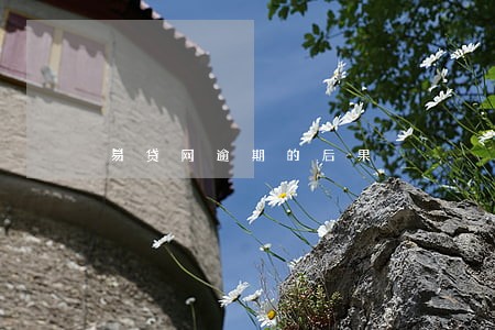 易贷网逾期的后果 易贷网逾期的后果