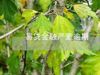 易贷金融严重逾期 易贷金融严重逾期