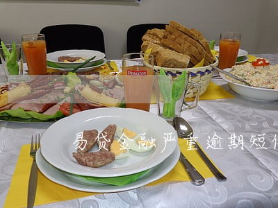 易贷金融严重逾期短信 易贷金融严重逾期短信