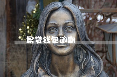 易贷钱包逾期