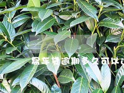 易车贷逾期多久可以还款 易车贷逾期多久可以还款