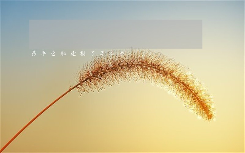 易车金融逾期了怎么办 易车金融逾期了怎么办